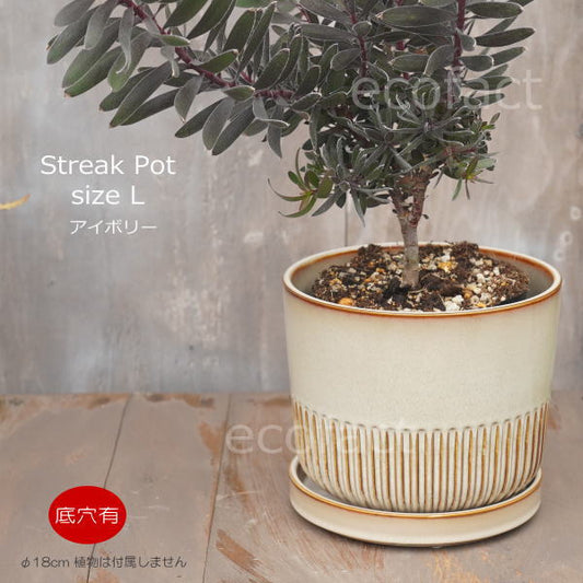 植木鉢 おしゃれ 陶器鉢 フラワーポット ミニポット 底穴あり Streak L アイボリー φ18cm   プランター 園芸鉢 観葉植物 オージープランツ