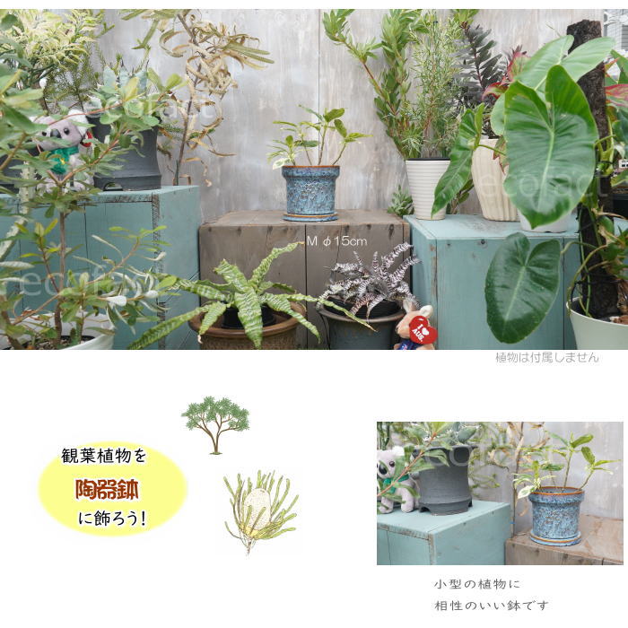 植木鉢 おしゃれ 陶器鉢 フラワーポット ミニポット 底穴あり Grit M ブルー φ15cm   プランター 園芸鉢 観葉植物 オージープランツ