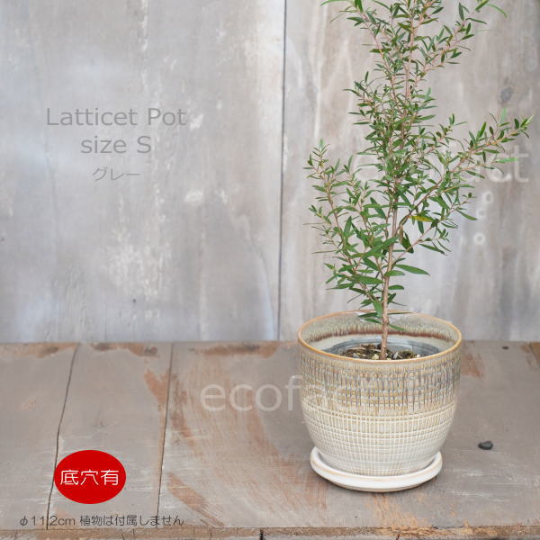 植木鉢 おしゃれ 陶器鉢 フラワーポット ミニポット 底穴あり Lattice S グレイ φ11.2cm   プランター 園芸鉢 観葉植物 オージープランツ