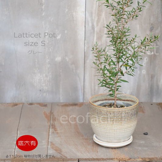 植木鉢 おしゃれ 陶器鉢 フラワーポット ミニポット 底穴あり Lattice S グレイ φ11.2cm   プランター 園芸鉢 観葉植物 オージープランツ