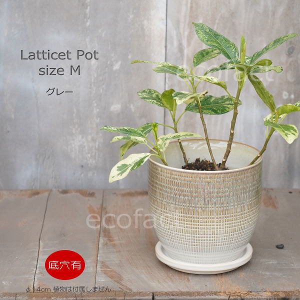 植木鉢 おしゃれ 陶器鉢 フラワーポット ミニポット 底穴あり Lattice M グレイ φ14cm   プランター 園芸鉢 観葉植物 オージープランツ