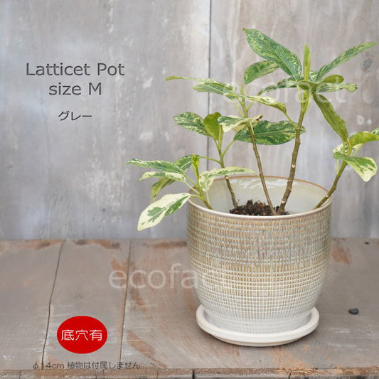植木鉢 おしゃれ 陶器鉢 フラワーポット ミニポット 底穴あり Lattice M グレイ φ14cm   プランター 園芸鉢 観葉植物 オージープランツ