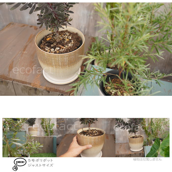植木鉢 おしゃれ 陶器鉢 フラワーポット ミニポット 底穴あり Lattice L グレイ φ18cm   プランター 園芸鉢 観葉植物 オージープランツ