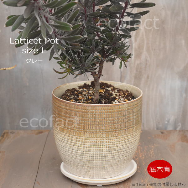 植木鉢 おしゃれ 陶器鉢 フラワーポット ミニポット 底穴あり Lattice L グレイ φ18cm   プランター 園芸鉢 観葉植物 オージープランツ