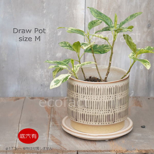 植木鉢 おしゃれ 陶器鉢 フラワーポット ミニポット 底穴あり Draw M  φ17.3cm   プランター 園芸鉢 観葉植物 オージープランツ