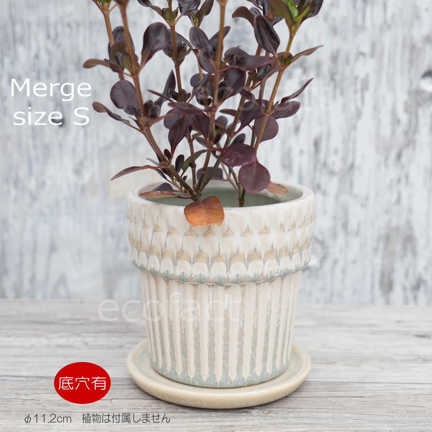 ポット 鉢 植木鉢 プランター おしゃれ 陶器 φ11.2cm Merge S ホワイト フラワーベース 花瓶 ガーデニング 園芸