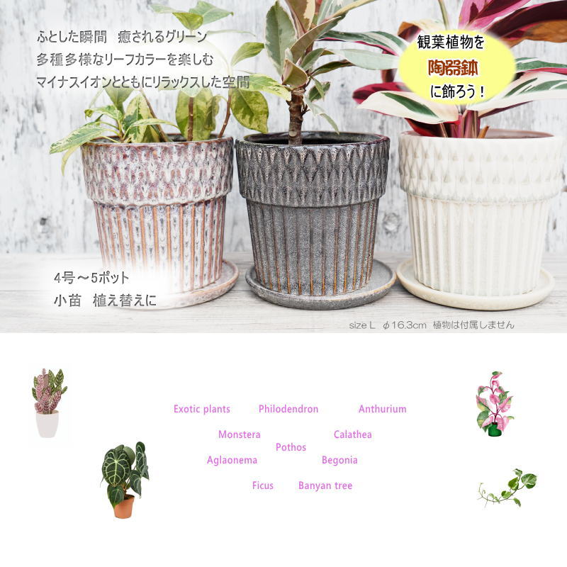 ポット 鉢 植木鉢 プランター おしゃれ 陶器 φ16.3cm Merge L ホワイト フラワーベース 花瓶 ガーデニング 園芸