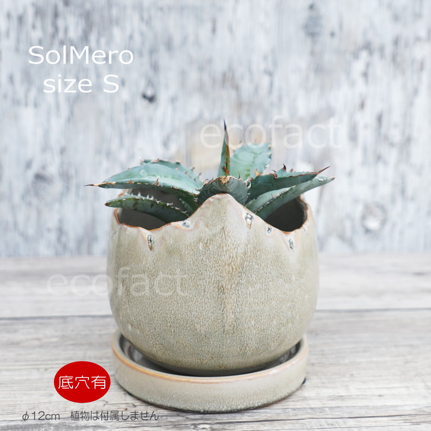 ポット 鉢 植木鉢 プランター おしゃれ 陶器 φ12cm Solmero S グレー フラワーベース 花瓶 ガーデニング 園芸